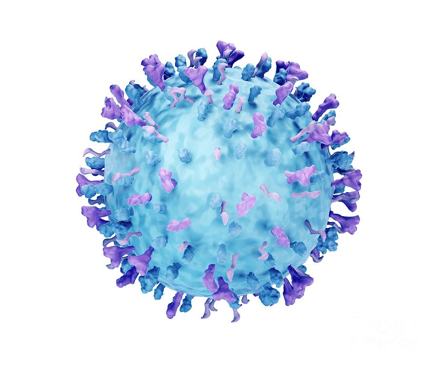 RSV (wirus syncytialny)