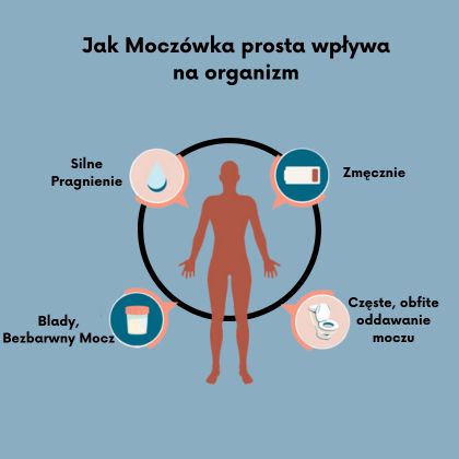 Jak Moczówka prosta wpływa na organizm