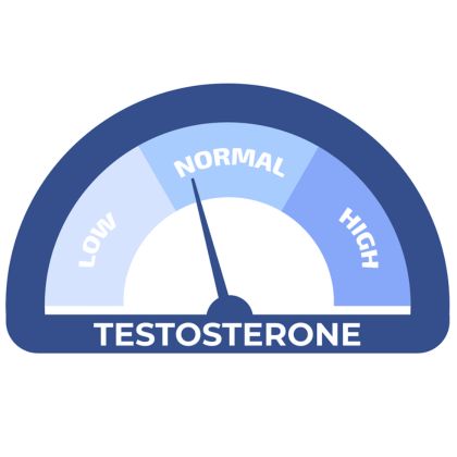 Zwiększone poziomy testosteronu podczas snu REM